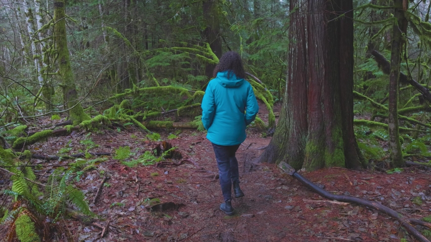 Girl Hiking on a Path in the Rain Forest during a foggy and rainy Fall Season. Squamish, North of Vancouver, British Columbia, Canada.
