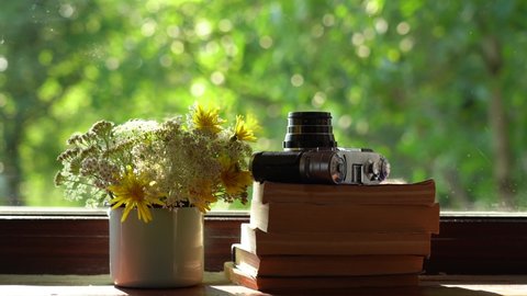Closeup view of countryside windowsill and sunny green blurry foliage of spring or summer trees behind glass of window. Several old books, vintage photocamera, bouquet of flowers in metal enamel mug.