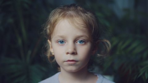 Portrait of a little girl of European appearance. Age 5 years