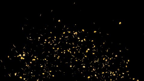 Gold Confetti Explosions With QuickTime Alpha Channel Prores 4444.