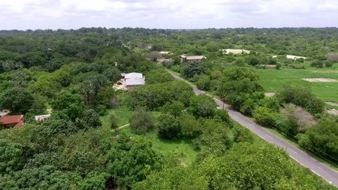 Aerial view of the Casamance forests in southern Senegal and Dakar