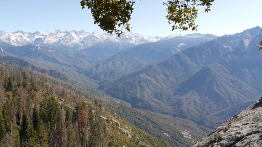 Panoramic view from Moro Rock in Sequoia forest national park, Northern California, USA. Overlooking old-growth woodland, coniferous trees on mountains of Sierra Nevada. Viewpoint near Kings Canyon.