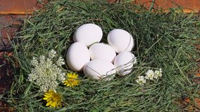 Closeup view 4k video of several white fresh chicken eggs laying on green dry grass background decorated with simple meadow white and yellow flowers.