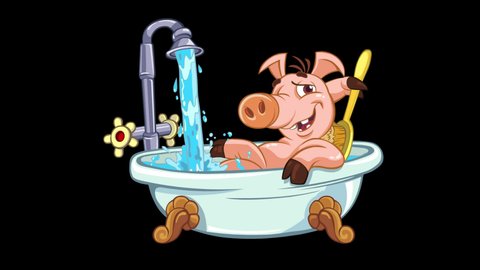 Bathing pig. Looped animation of the funny smiling pig takes a bath.
