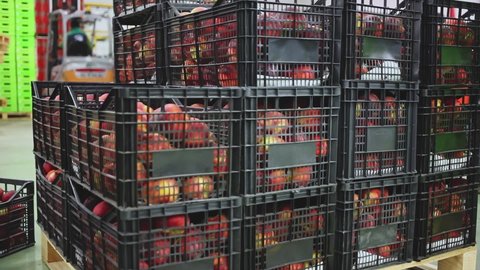 Closeup of stacks of plastic fruit boxes with fresh ripe peaches in storage warehouse