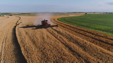 Aerial view of wheat harvest on American farm