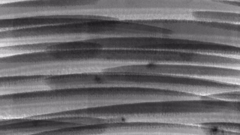 Rough Pencil Texture animation Background.Abstract Graphite pencil strokes on the white paper
