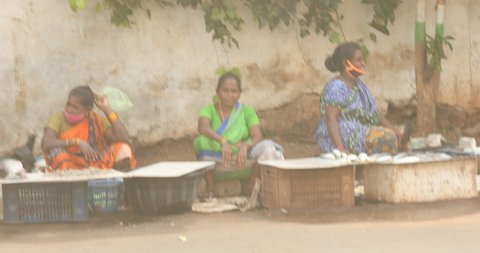 Women Selling Fish at Market Vizag Andhra Pradesh India 22nd Nov 2020