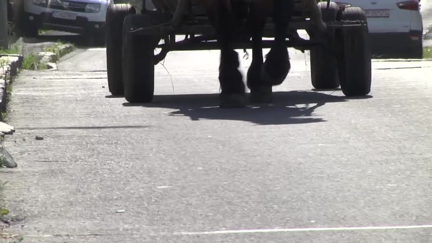 Detail with the feet of a black horse pulling a wooden cart with rubber wheels on an asphalt road
