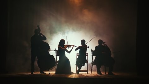 Professional Musicians Play Violin, Cello, Contrabass on a Large Stage of a Concert Hall in Smoke Against a Dark Background.