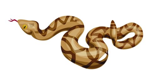 9 Snakes clipart Stock Video Footage - 4K and HD Video Clips | Shutterstock