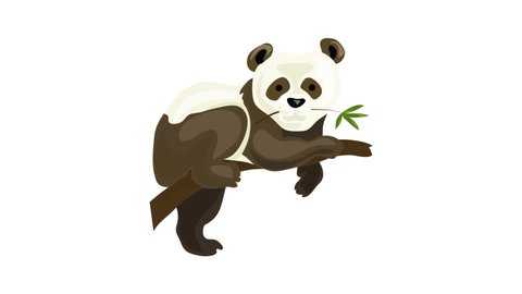 Panda bear icon animation best on white background for any design