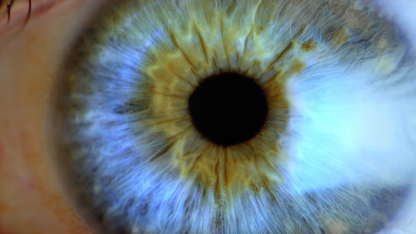 Human eye iris contracting. Extreme close up.