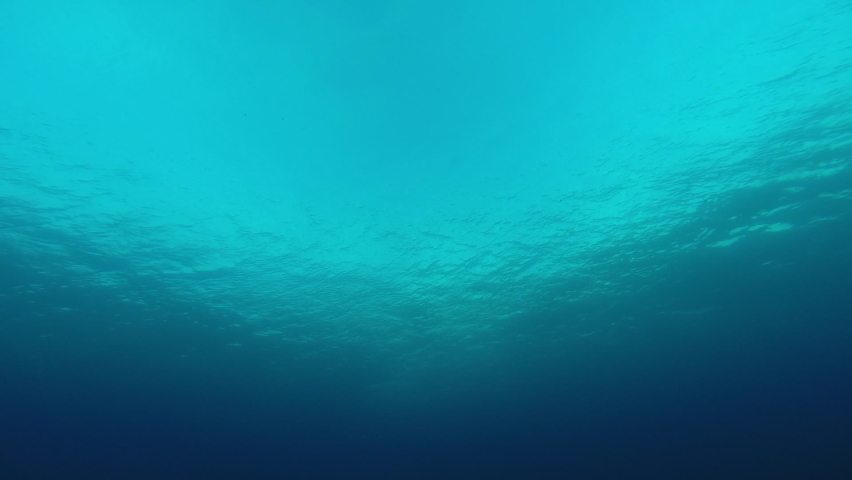 Video of the ocean surface from below showing the sunlight and water ripples through the clear water. This is a real video and not computer generated. Looped for unlimited duration. Royalty-Free Stock Footage #1064536891