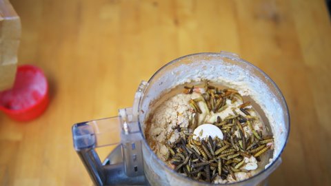 Woman hand adding white organic baking flour, mealworms and raw peanuts in measuring cup to peanut butter with extra virgin coconut oil in food processor for homemade bird feeder suet