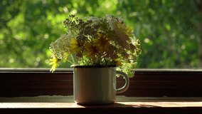 Closeup view 4k video of cute small bouequet of simple white and yellow field flowers standing on window sill of house indoor