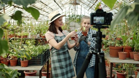 Young woman and child farmers are recording video talking showing thumbs-up waving hands in greenhouse using camera for vlogging together