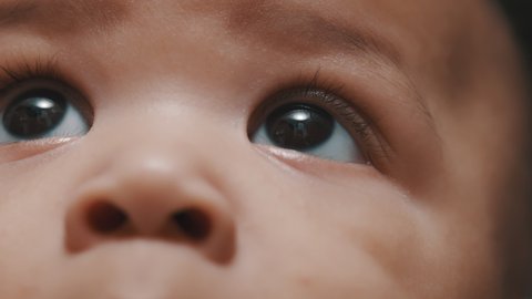 Extreme Close Up With A Little Video De Stock 100 Libre De Droit 324 Shutterstock