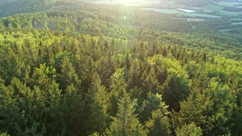 perfect drone shot over summer forest while sunset in Saxony, Germany Aerial flight over the woods in Oberlausitz 