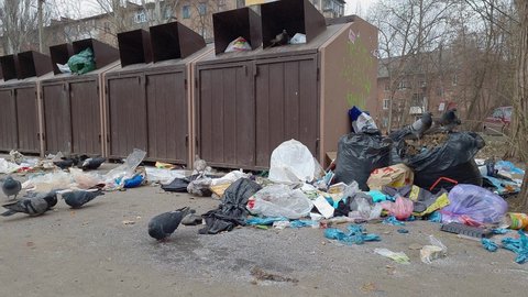 Gray doves peck from the asphalt on a dump near metal trash bins. KRYVYI RIH, UKRAINE - DECEMBER, 2020.