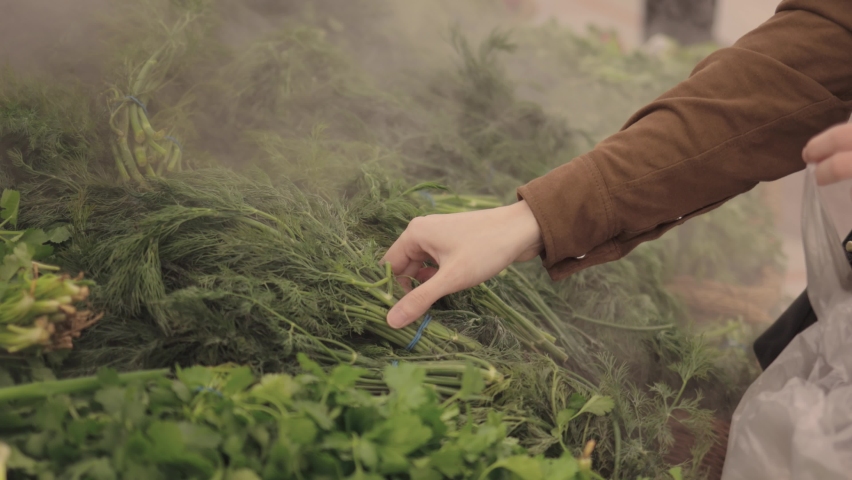 Female hands buying greens in the market, girl putting greens with watering system into plastic bag. Shopping in grocery store handheld shot