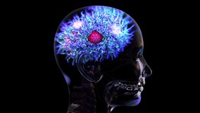 Coronavirus or viruses travel into brain through nose, COVID-19 can damage brain, causing symptoms like delirium and confusion
 - Powered by Shutterstock - Get 15% off with code: PIKWIZARD15