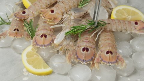 Fresh raw seafood mantis shrimps with lemon. seafood fish recipe 