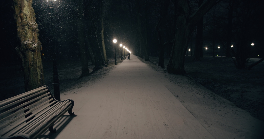 Street lights glowing in city park and snowing in winter night