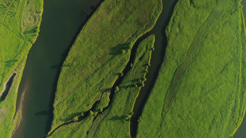 Flight top down above green field river delta branch passes through. Planet earth lungs unique natural landscape. Spring meditation scenery. Beautiful epic abstract surface. Ecosystem reserve. Summer  Royalty-Free Stock Footage #1064665207