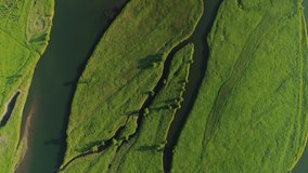 Flight top down above green field river delta branch passes through. Planet earth lungs unique natural landscape. Spring meditation scenery. Beautiful epic abstract surface. Ecosystem reserve. Summer  - Powered by Shutterstock - Get 15% off with code: PIKWIZARD15