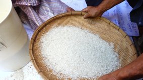 Farmer selects the impurity out off the grain jasmine rice seed by traditional hand process. Rice seeds are dried in the sun after being harvested from rice fields and milling. 4K video footage.