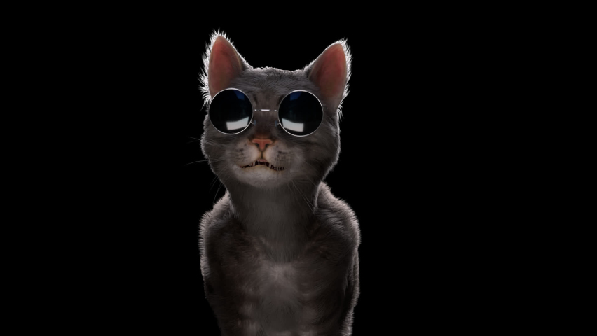 Cat with retro sunglasses Headbanging. Shaking his head to the music. ProRes 4444 Mov 12bit with Alpha Channel. Seamless Looping 3D rendering. Royalty-Free Stock Footage #1064674075