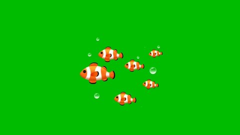 Cartoon beautiful fishes group on green screen background.