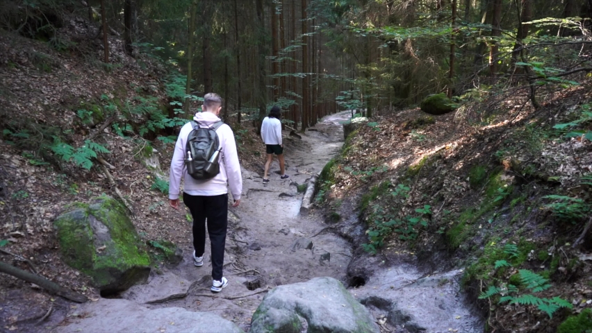 Hiking in German forests. Path to the Saxony Switzerland, Germany. Filming in 4k. Cinematic view.