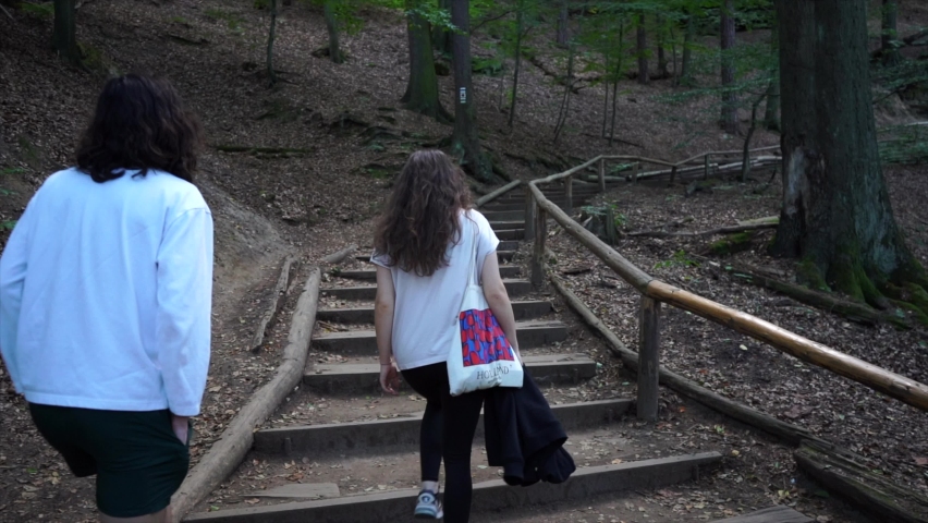 Hiking in German forests. Path to the Saxony Switzerland, Germany. Filming in 4k. Cinematic view.