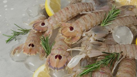 Fresh seafood shrimp with lemon in ice