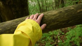 Woman`s hand gliding on wooden railing somewhere in forest. Morning run and meditation concept. Handheld video of human hand, harmony with forest, nature and ecology