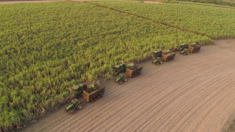 Franca, São Paulo, Brazil, February 26, 2019: Agribusiness - Beautiful aerial image of cane harvesting, machines in formation harvesting cane, sugar mill, cane - Agriculture