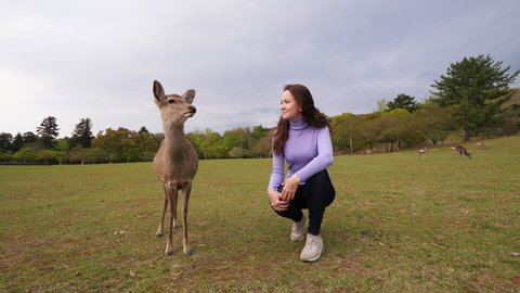 Tourist woman sit next to wild deer at Nara park, look at same direction with animal. European visitor pose for photograph with tame sika deer. Popular tourist destination of Japan