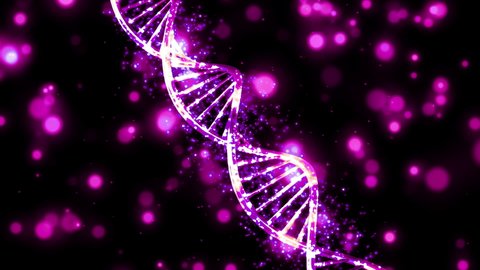 Dna Helix Rotating Colored Chromosomes Sexuality Stock Footage Video