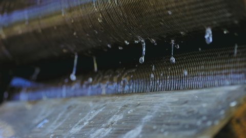 Hevea Stock Video Footage 4k And Hd Video Clips Shutterstock