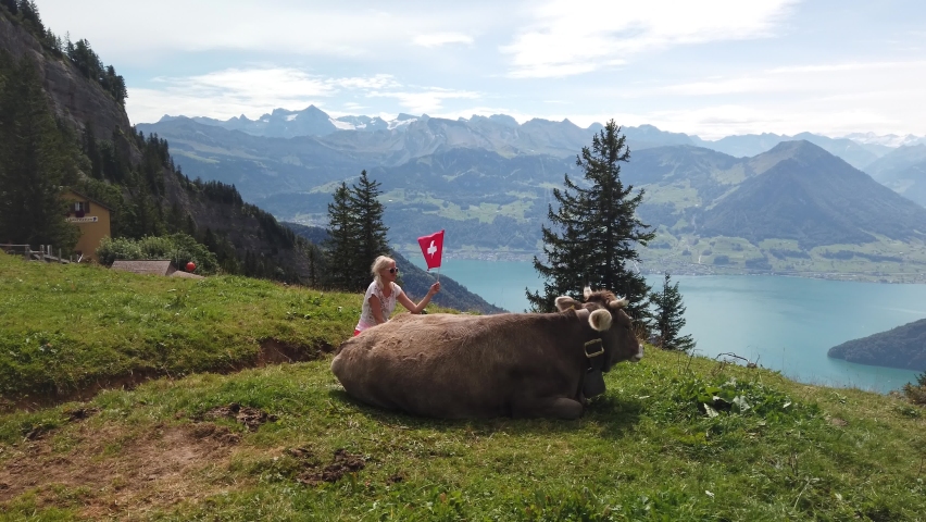 Happy girl with Swiss flag by a cow in alpine meadow along Rigi-Scheidegg railway with spectacular views of Swiss Alps, Schwyz basin, Lake Lucerne. Tourism in Canton of Lucerne, Central Switzerland.