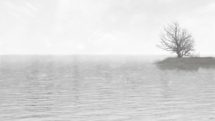 Black and White Lake Scene Inspiration 4K Loop features a lake in grayscale with fog, a tree silhouette, and birds flying in a loop Royalty-Free Stock Footage #1064844565