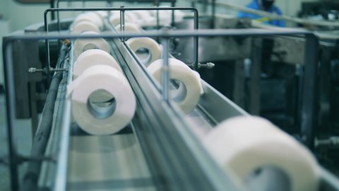 Rolls of toilet paper are moving along the conveyor.