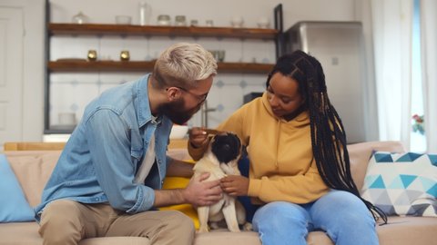 Happy young couple playing and relaxing with pet dog at home. Portrait of multiethnic man and woman in love feeding cute pug fog sitting together on couch at home