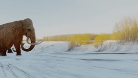 A 3D animation of a herd of Woolly Mammoths walking across a snowy field during the Ice Age.