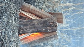 Burning a campfire in the form of a hut made of chopped wood blocks with a slight wind. Camping concept. natural background. Vertical video