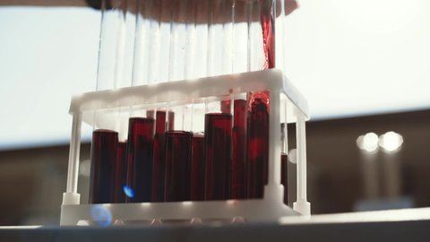 Red wine, liquid, blood are poured into a transparent glass test tube through a funnel, a stand with test tubes stands outdoors in sunny weather