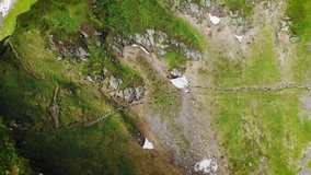 Aerial drone view of a flock of sheep walk in a row on a narrow mountain path. Carpathian mountains, UHD 4k video