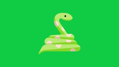 Snake Flat Animated Icon on Green Screen Background. 4K Animated Animal Icon to Improve Your Project and Explainer Video.